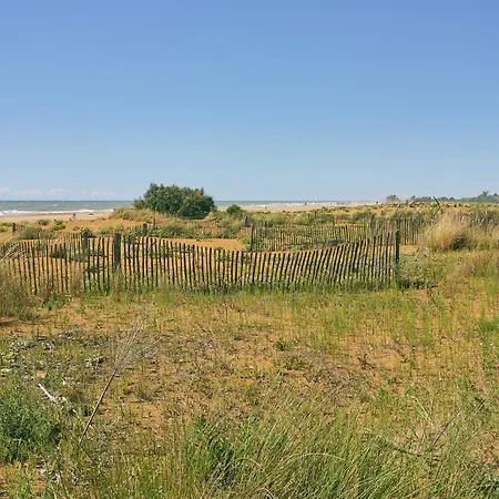 With Terrace And Swimming Pool