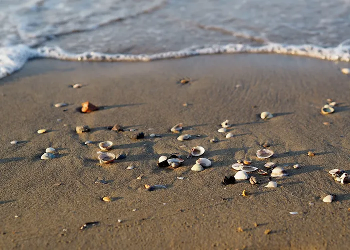 With Terrace And Swimming Pool *